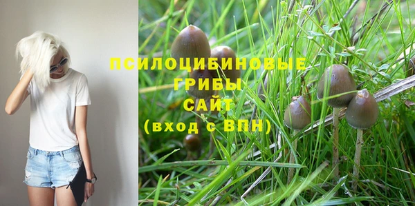 кокс Богданович