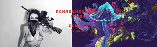 спиды Богородск