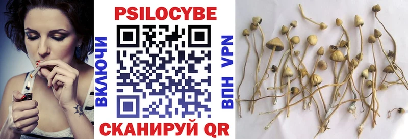 Купить закладки  Вытегра  Галлюциногенные грибы Magic Shrooms 