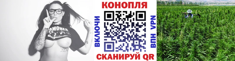 Бошки Шишки Amnesia  Купить  Вытегра 